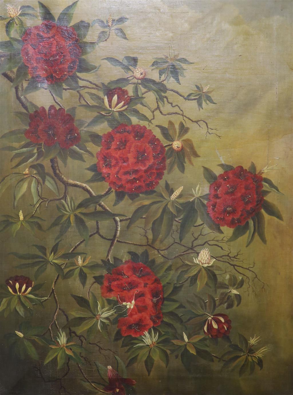 English School c.1900, oil on canvas, Study of Rhododendron blossom, indistinctly signed, 90 x 67cm